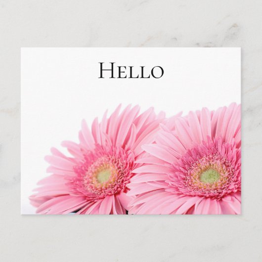 Rosa Gerbera Daisies Elegante Fotografie Postkarte (Vorderseite)