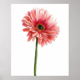 Rosa Gerbera-Daisy-Aquarell-Garten-Naturliebhaber Poster