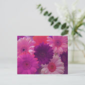 Rosa Gerbera Daisy Blume Foto Postkarten (Stehend Vorderseite)