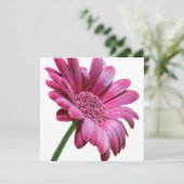 Rosa Gerbera Daisy Einladung (Stehend Vorderseite)