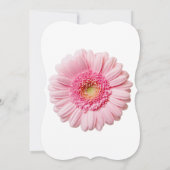 Rosa Gerbera Daisy Einladungen (Rückseite)