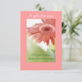 Rosa Gerbera Daisy Geschenkgutschein (Stehend Vorderseite)