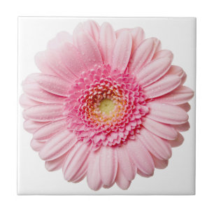 Rosa Gerbera Daisy Keramik Tile Fliese