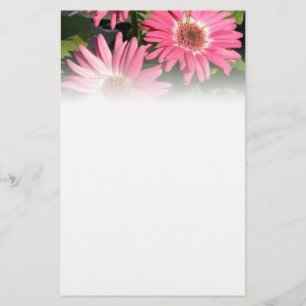 Rosa Gerbera-Gänseblümchen Briefpapier