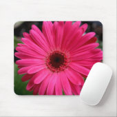 Rosa Gerbera-Gänseblümchen Mousepad (Mit Mouse)