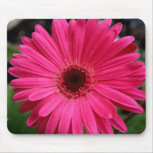 Rosa Gerbera-Gänseblümchen Mousepad