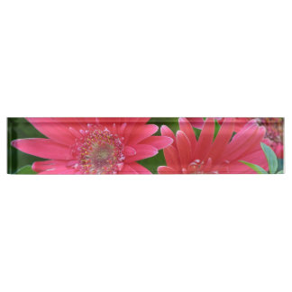 Rosa Gerbera-Gänseblümchen Namensplakette