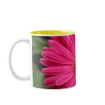 Rosa Gerbera-Gänseblümchen-Tasse