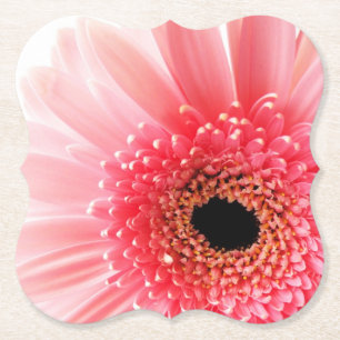 Rosa Gerbera-Margerite Untersetzer