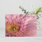 Rosa Gerbera • Save the Date Karte (Stehend Vorderseite)