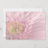 Rosa Gerbera • Save the Date Karte (Rückseite)