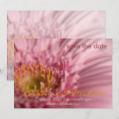 Rosa Gerbera • Save the Date Karte (Vorne/Hinten)