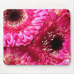 Rosa Gerberas Mousepad