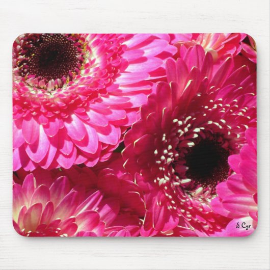 Rosa Gerberas Mousepad (Vorne)