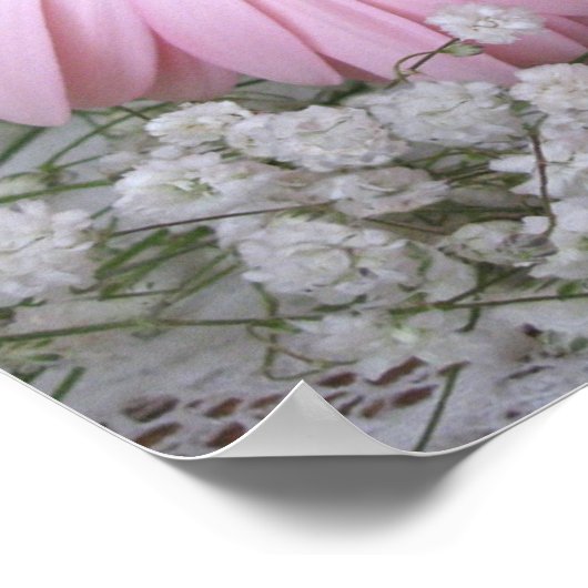 Rosa Gerberas Print Poster (Ecke)