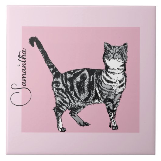Rosa getigerte Katze Katzen Pastell Rosa Mädchen N Fliese (Vorderseite)