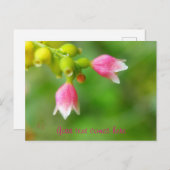 rosa Glocken Feiertagspostkarte (Vorne/Hinten)