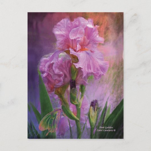 Rosa Goddess Art Postkarte (Vorderseite)