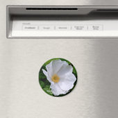 Rosa gogosa グ ネ magnet (In Situ (Geschirrspüler))