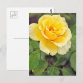 Rosa Gold Bunny [Postcard] Postkarte (Vorne/Hinten)