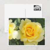 Rosa Gold Bunny Postkarte (Vorne/Hinten)