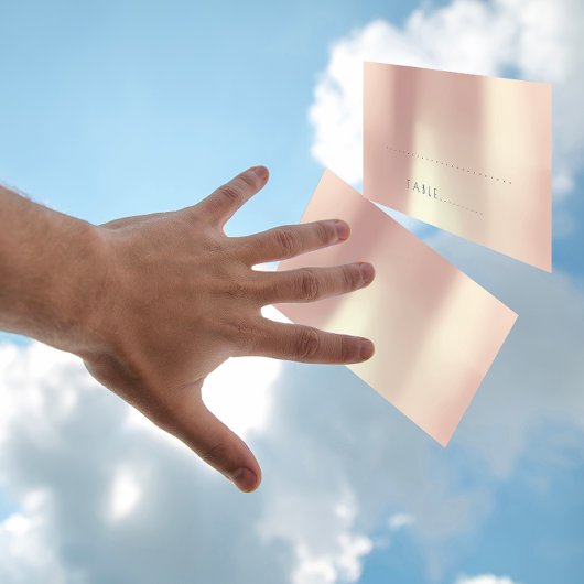 Rosa Gold Gold Hochzeitsreise Pack Platzkarte