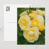 Rosa Golden Border [Postcard] Postkarte (Vorne/Hinten)