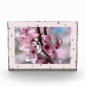 Rosa Goldscheinconfetti-personalisiertes Foto (Vorderseite)