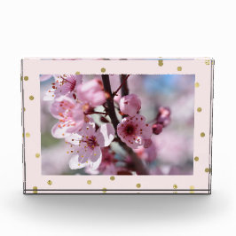 Rosa Goldscheinconfetti-personalisiertes Foto