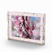 Rosa Goldscheinconfetti-personalisiertes Foto (Rechts)