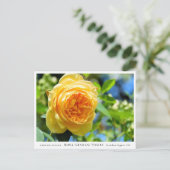 Rosa Graham Tomas Postkarte (Stehend Vorderseite)