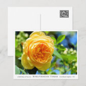 Rosa Graham Tomas Postkarte (Vorne/Hinten)