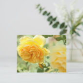 Rosa Graham Tomas Postkarte (Stehend Vorderseite)