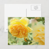 Rosa Graham Tomas Postkarte (Vorne/Hinten)