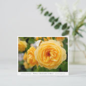 Rosa Graham Tomas Postkarte (Stehend Vorderseite)