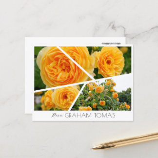 Rosa Graham Tomas Postkarte