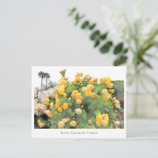 Rosa Graham Tomas Postkarte (Stehend Vorderseite)