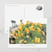 Rosa Graham Tomas Postkarte (Vorne/Hinten)