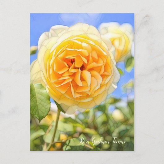 Rosa Graham Tomas [Postkarte] Postkarte (Vorderseite)