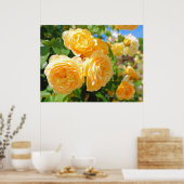 Rosa Graham Tomas [Value Poster Paper] (Küche)