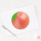 Rosa Grapefruitmakro Runder Aufkleber (Umschlag)