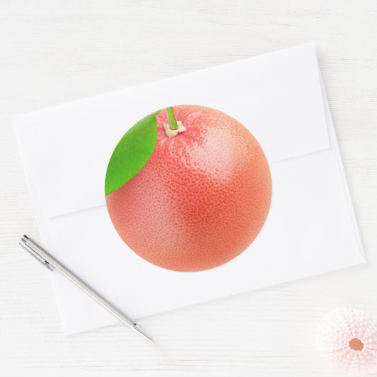 Rosa Grapefruitmakro Runder Aufkleber (Umschlag)