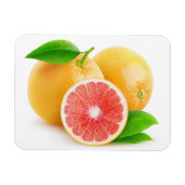 Rosa Grapefruits Magnet (Horizontal)