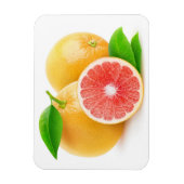 Rosa Grapefruits Magnet (Vertikal)