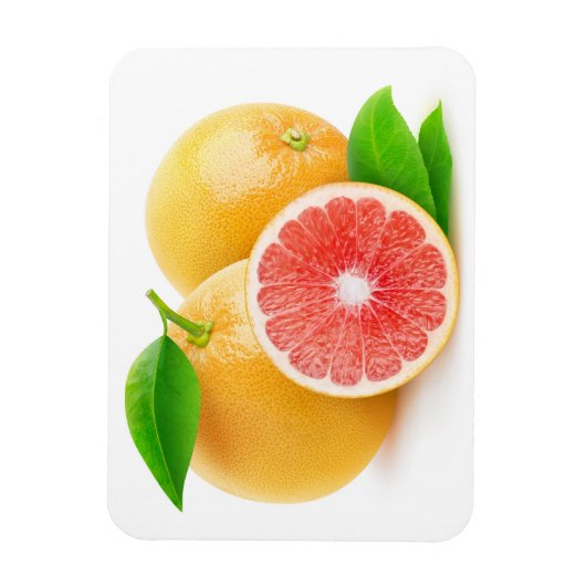 Rosa Grapefruits Magnet (Vertikal)