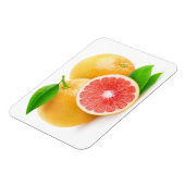 Rosa Grapefruits Magnet (Linke Seite)