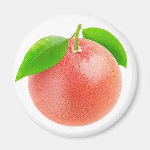 Rosa Grapefruits Magnet