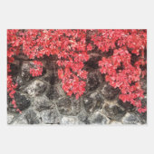 Rosa graue Efeu Blätter Herbst abstraktes Foto (Vorderseite 2)