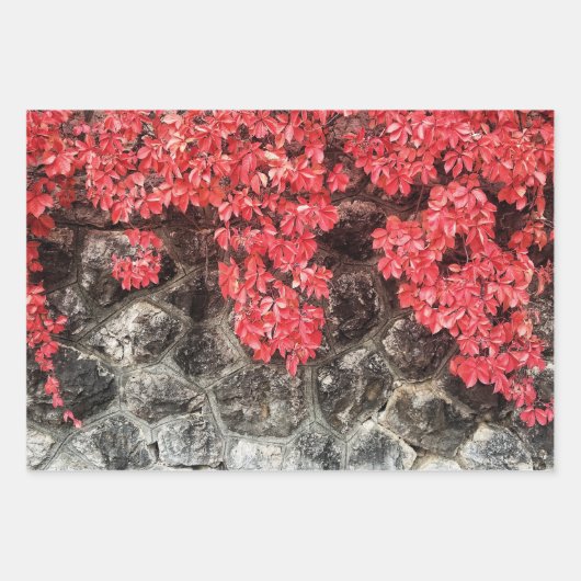 Rosa graue Efeu Blätter Herbst abstraktes Foto (Vorderseite 2)