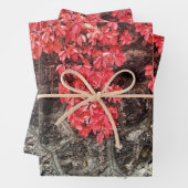 Rosa graue Efeu Blätter Herbst abstraktes Foto (Beispiel)